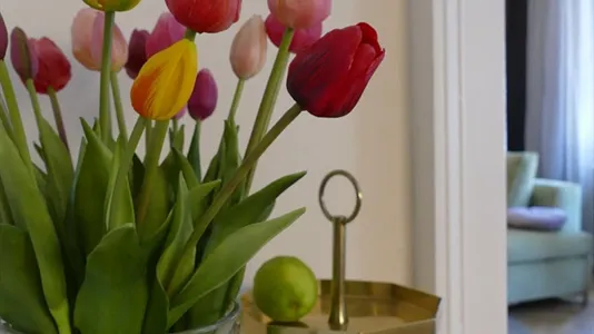 Apartments in Graz - photo 7