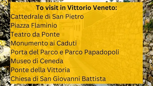 Apartments in Vittorio Veneto - photo 9