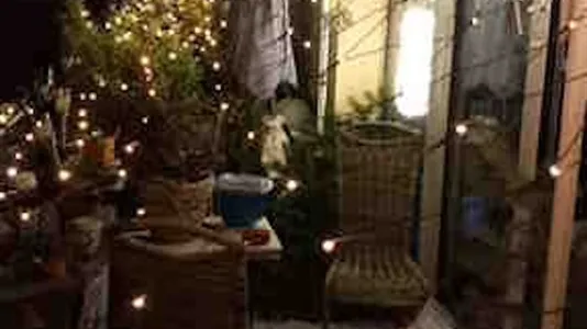 Rooms in Vienna Floridsdorf - photo 9