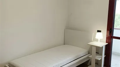Room for rent in Florence, Toscana