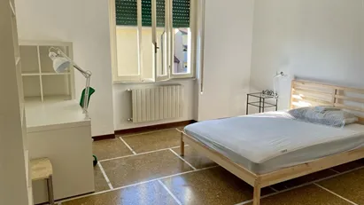 Room for rent in Pisa, Toscana Room for rent in Pisa, Toscana