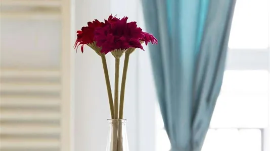 Rooms in Milano Zona 9 - Porta Garibaldi, Niguarda - photo 9