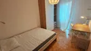 Room for rent, Padua, Veneto, Via Tirana, Italy