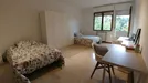 Room for rent, Padua, Veneto, Via Luigi Pellizzo, Italy