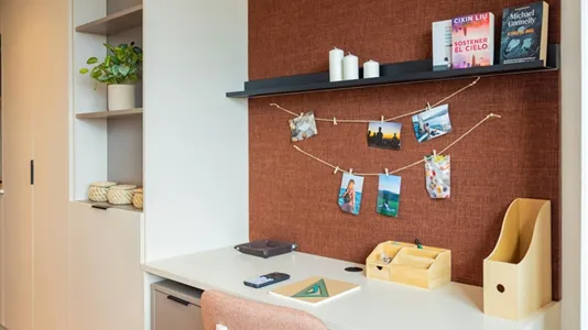 Apartments in Las Higueras - photo 8