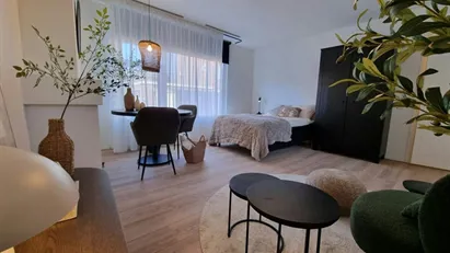 Room for rent in Rotterdam