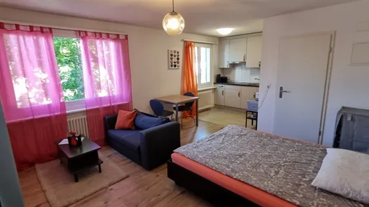 Apartments in Dietikon - photo 3