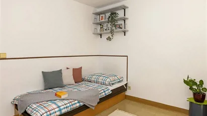 Room for rent in Wien Währing, Vienna