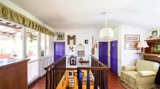 Houses in Pesaro - photo 5