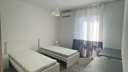 Room for rent in Padua, Veneto