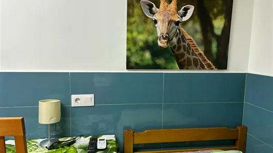 Apartments in Barcelona Les Corts - photo 7