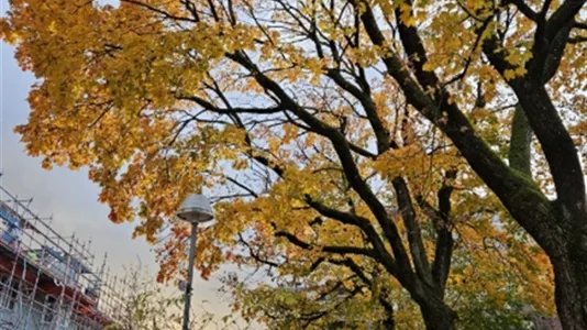 Apartments in Gothenburg East - photo 13