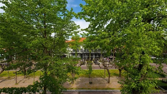 Apartments in Oisterwijk - photo 4