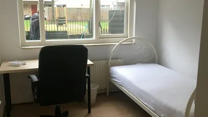 Room for rent in Rotterdam