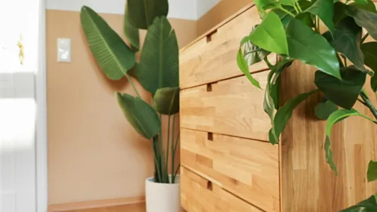 Apartments in Braunschweig - photo 9