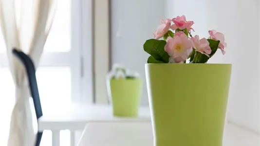 Rooms in Milano Zona 1 - Centro storico - photo 8