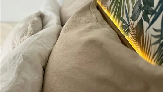 Rooms in El Cerezo - photo 5