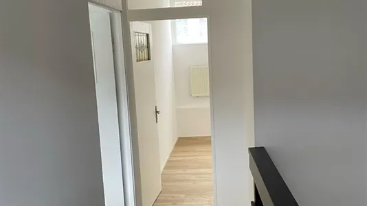 Houses in Schiedam - photo 5