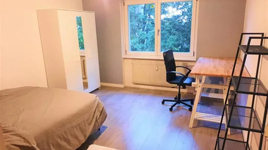 Rooms in Mulhouse - photo 2