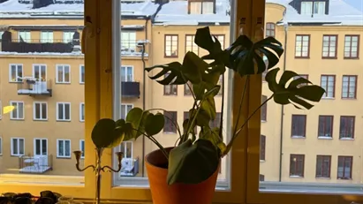 Södermalm - 1rok - 5mån - 13.800kr/mån