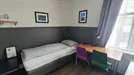 Room for rent, Reykjavík Miðborg, Reykjavík, Freyjugata, Iceland