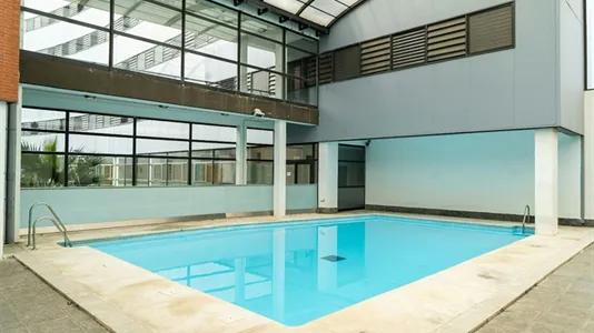 Apartments in Bami - photo 6