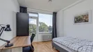 Room for rent, Rotterdam, Aernt Bruunstraat