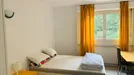 Room for rent, Gex, Auvergne-Rhône-Alpes, &lt;span class=&quot;blurred street&quot; onclick=&quot;ProcessAdRequest(8011886)&quot;&gt;&lt;span class=&quot;hint&quot;&gt;See streetname&lt;/span&gt;[xxxxxxxxxxxxx]&lt;/span&gt;
