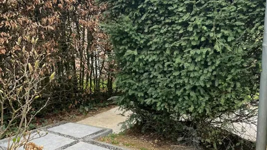 Apartments in Waterloo - photo 7