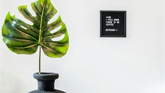 Apartments in Dusseldorf - photo 8