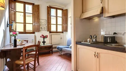 Apartment for rent in Florence, Toscana