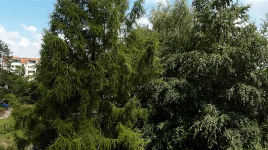 Rooms in Berlin Steglitz-Zehlendorf - photo 6