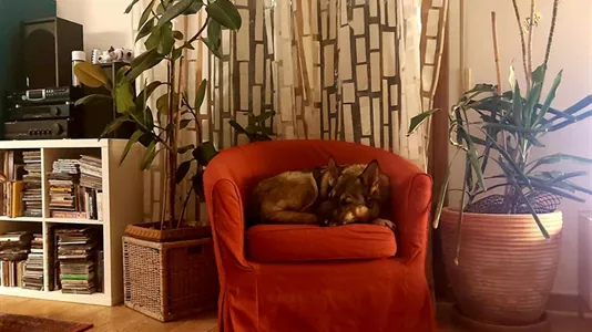 Rooms in Florence - photo 6