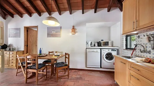 Houses in Tavira - photo 5