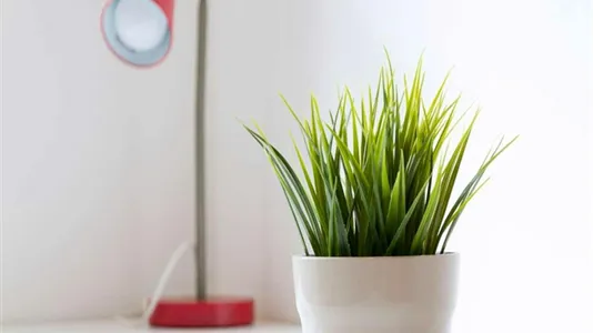 Rooms in Milano Zona 9 - Porta Garibaldi, Niguarda - photo 5