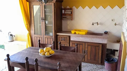 Houses in Tomar - photo 4