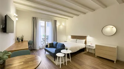 Apartment for rent in Barcelona Ciutat Vella, Barcelona