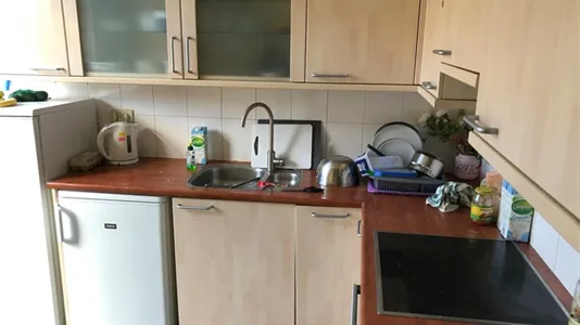 Rooms in Utrechtse Heuvelrug - photo 5