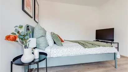 Apartment for rent in Prague 1, Prague