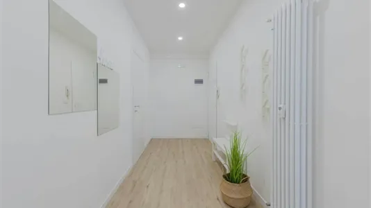 Rooms in Padua - photo 9