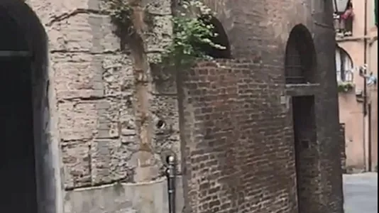 Rooms in Siena - photo 10