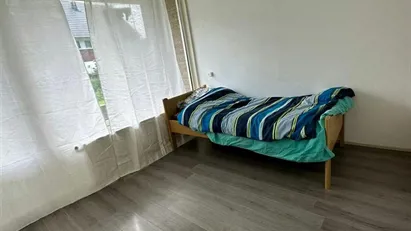 Room for rent in Nissewaard, South Holland