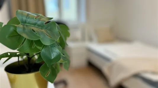 Rooms in Vienna Margareten - photo 3