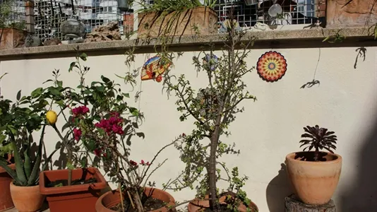 Rooms in Barcelona Gràcia - photo 8