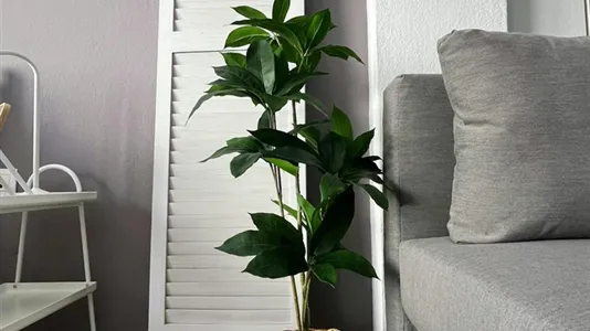 Apartments in Larissa - photo 4