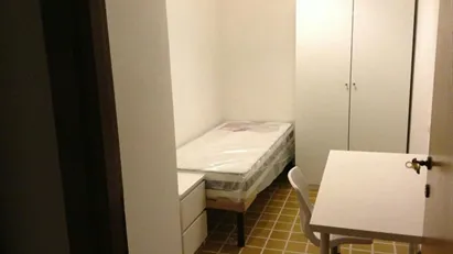 Room for rent in Roma Municipio VIII – Appia Antica, Rome