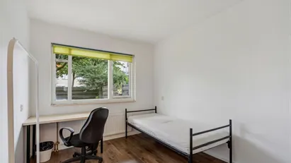 Room for rent in Rotterdam