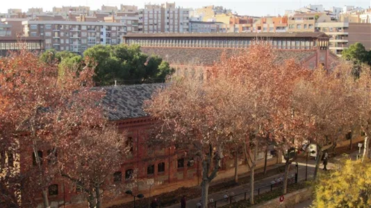 Rooms in Zaragoza - photo 9