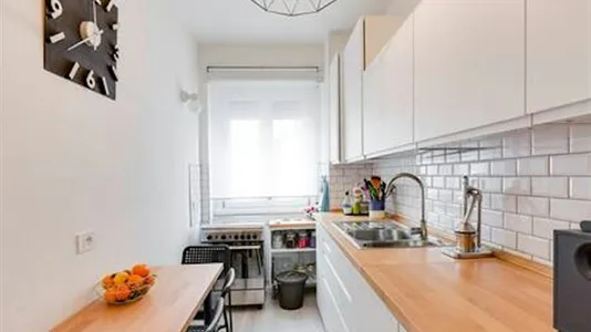 Rooms in Roma Municipio VIII – Appia Antica - photo 4