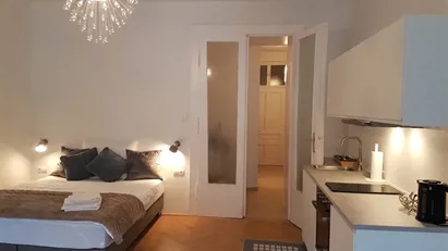 Apartment for rent in Vienna Alsergrund, Vienna